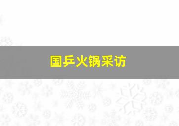 国乒火锅采访