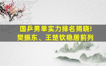 国乒男单实力排名揭晓!樊振东、王楚钦稳居前列