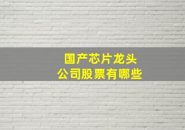 国产芯片龙头公司股票有哪些