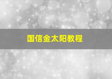 国信金太阳教程