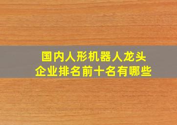 国内人形机器人龙头企业排名前十名有哪些