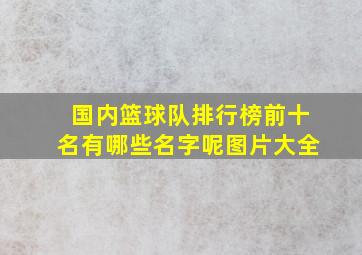 国内篮球队排行榜前十名有哪些名字呢图片大全