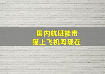 国内航班能带猫上飞机吗现在