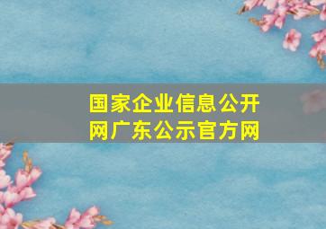 国家企业信息公开网广东公示官方网