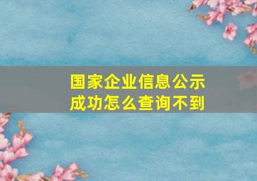 国家企业信息公示成功怎么查询不到