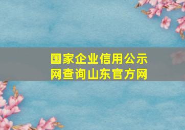 国家企业信用公示网查询山东官方网