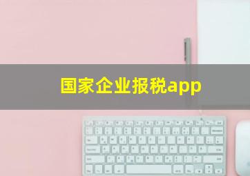 国家企业报税app