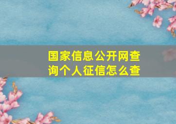 国家信息公开网查询个人征信怎么查