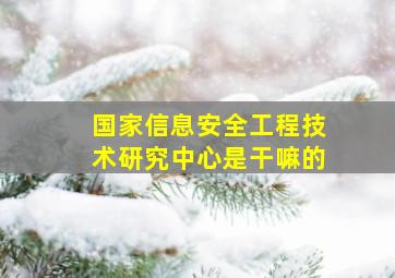 国家信息安全工程技术研究中心是干嘛的