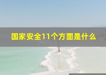 国家安全11个方面是什么