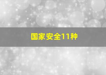 国家安全11种