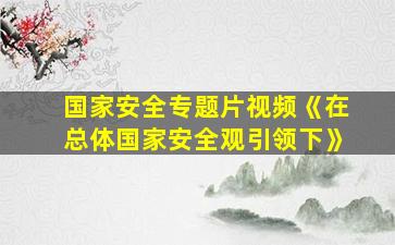 国家安全专题片视频《在总体国家安全观引领下》