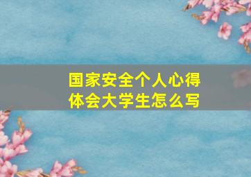 国家安全个人心得体会大学生怎么写