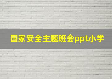 国家安全主题班会ppt小学