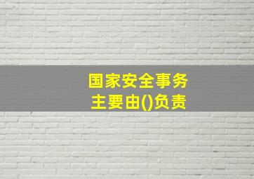 国家安全事务主要由()负责