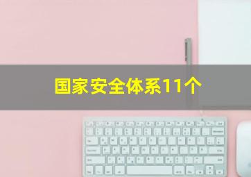 国家安全体系11个