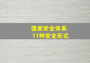 国家安全体系11种安全形式