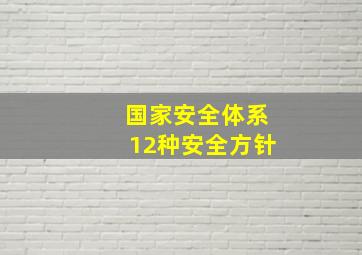 国家安全体系12种安全方针