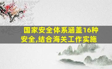 国家安全体系涵盖16种安全,结合海关工作实施