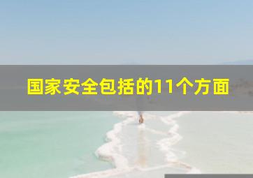 国家安全包括的11个方面