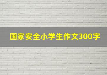 国家安全小学生作文300字