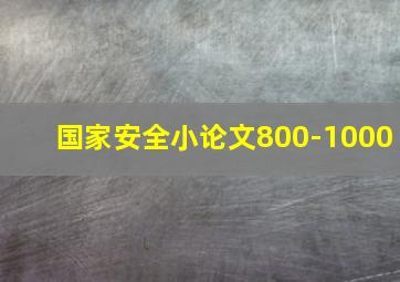 国家安全小论文800-1000