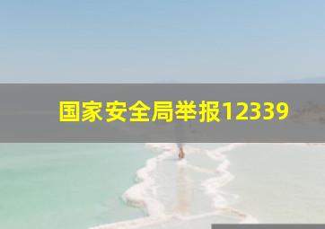 国家安全局举报12339