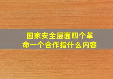 国家安全层面四个革命一个合作指什么内容