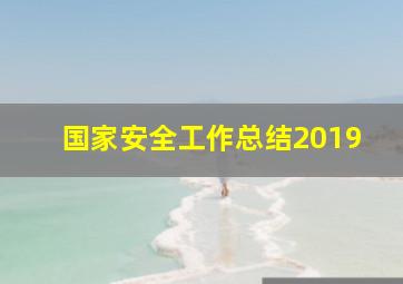 国家安全工作总结2019