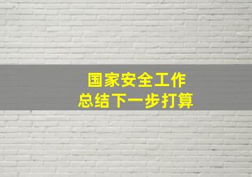 国家安全工作总结下一步打算