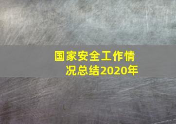 国家安全工作情况总结2020年