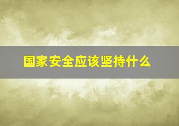 国家安全应该坚持什么