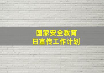 国家安全教育日宣传工作计划