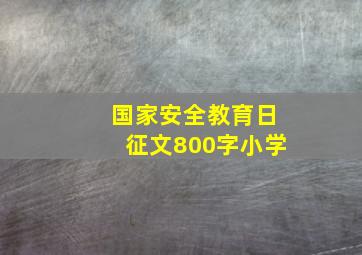 国家安全教育日征文800字小学