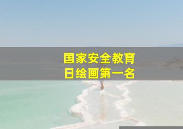 国家安全教育日绘画第一名