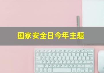 国家安全日今年主题