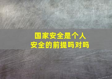 国家安全是个人安全的前提吗对吗