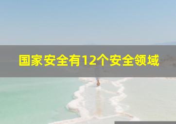 国家安全有12个安全领域