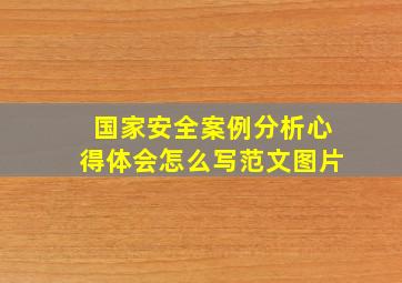 国家安全案例分析心得体会怎么写范文图片