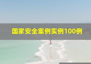 国家安全案例实例100例