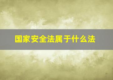 国家安全法属于什么法