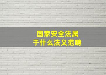 国家安全法属于什么法义范畴