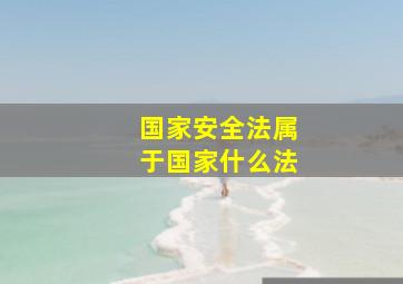 国家安全法属于国家什么法