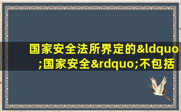 国家安全法所界定的“国家安全”不包括