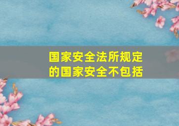 国家安全法所规定的国家安全不包括