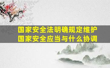 国家安全法明确规定维护国家安全应当与什么协调