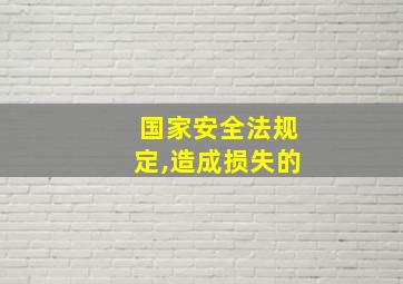 国家安全法规定,造成损失的