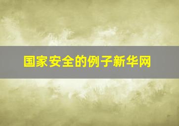 国家安全的例子新华网