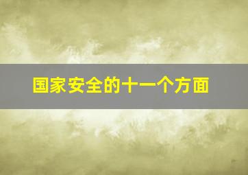 国家安全的十一个方面