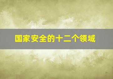 国家安全的十二个领域